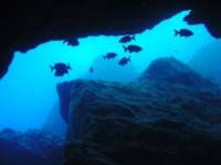 Right hole looking out of Saipan Grotto taken w/ digital ... by Martin Dalsaso 